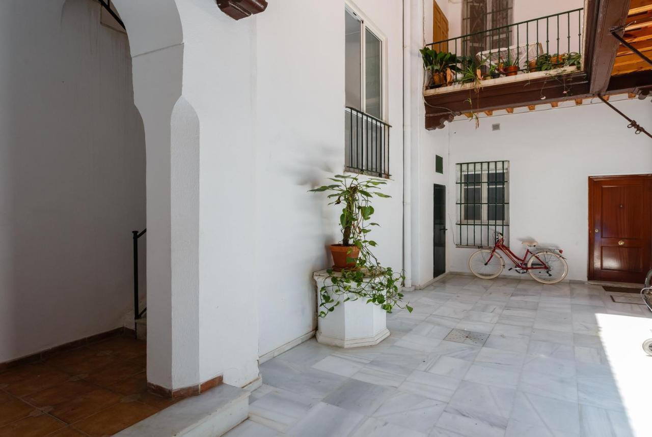La Casa Del Arte Cadiz Lejlighed Eksteriør billede